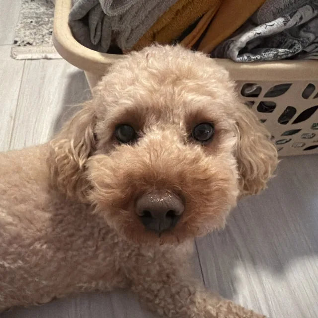Their photo