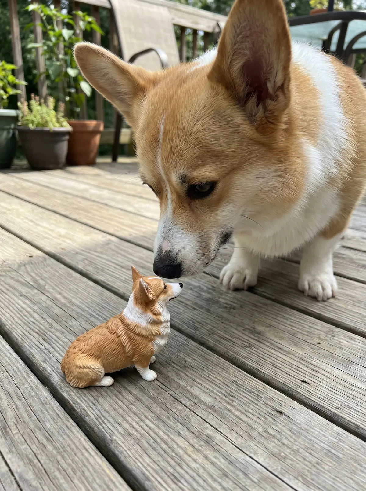 A custom PawSculpt figurine beside the pet it was sculpted from