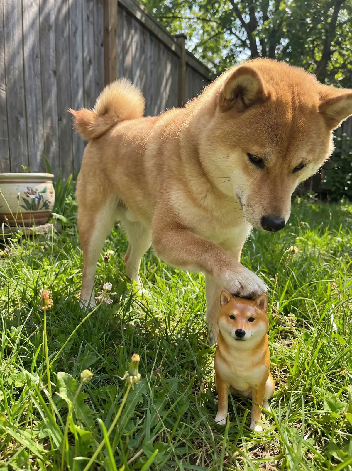A custom PawSculpt figurine beside the pet it was sculpted from