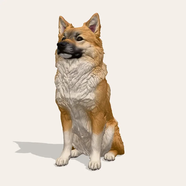 3D preview